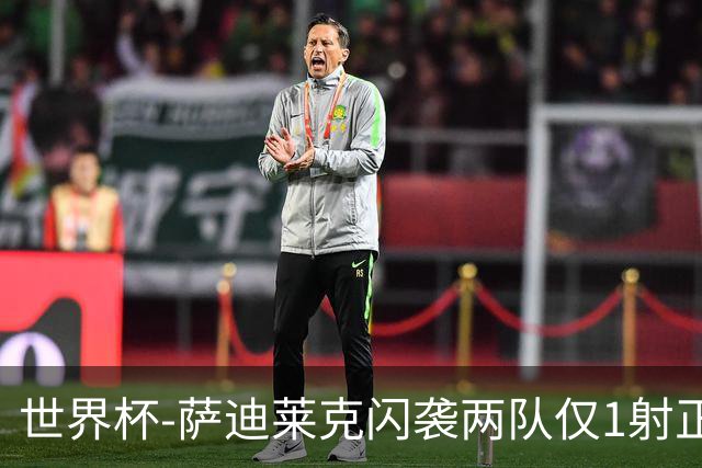世界杯-萨迪莱克闪袭两队仅1射正 捷克半场暂1-0南非