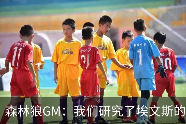 森林狼GM：我们研究了埃文斯的每次三分投篮 相信其技术能对接NBA
