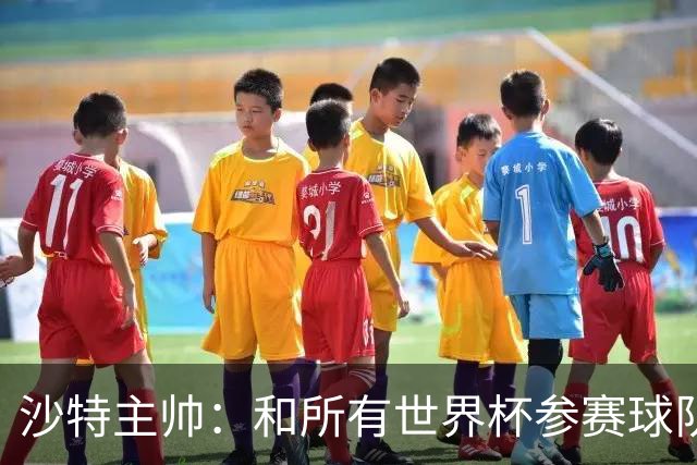 沙特主帅：和所有世界杯参赛球队一样，我们配得上来到这里