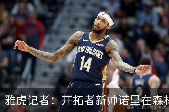 雅虎记者：开拓者新帅诺里在森林狼培养里德的经验或适用于杨瀚森
